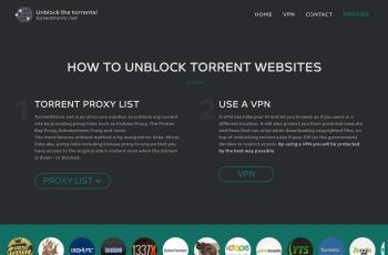 www.torrentmirror.net screenshot
